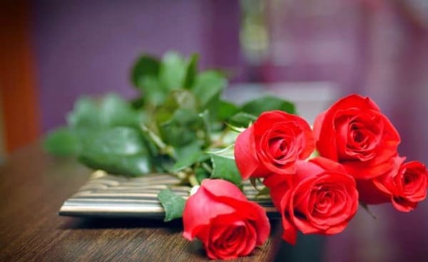 Tặng hoa Valentine có ý nghĩa gì?